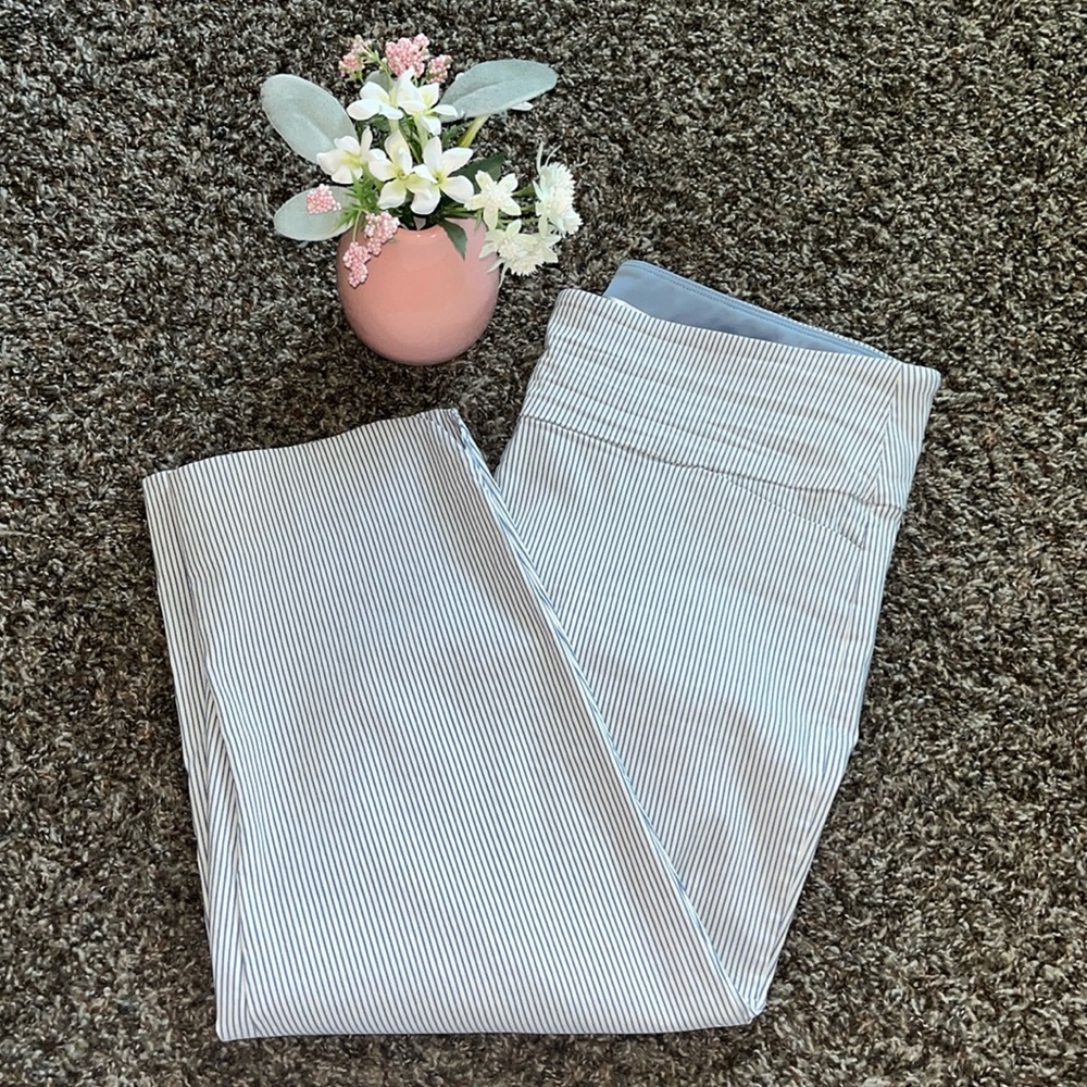 S. C. & Co. 360 Tummy Control Pull On Blue White Striped Cropped Pants, Size 14
